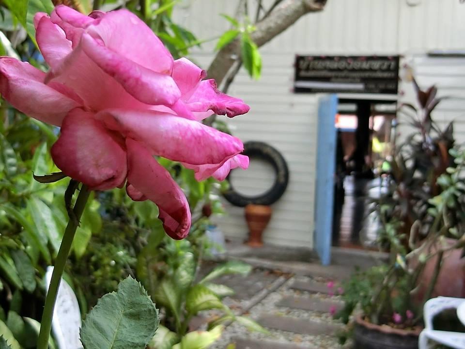 Baanklong Amphawa Homestay ภายนอก รูปภาพ